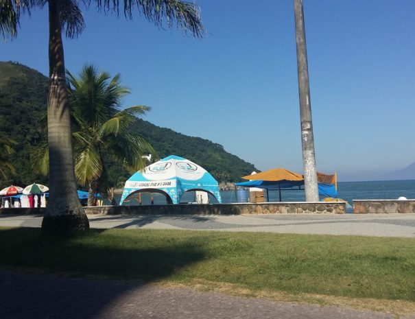 dreamstimemaximum_106904330